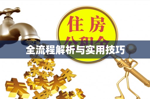 北林全流程解析与实用技巧