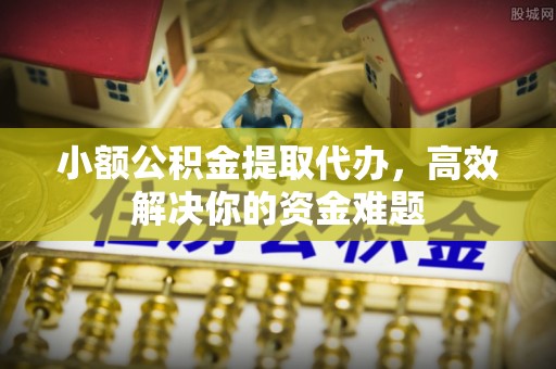 北林小额公积金提取代办，高效解决你的资金难题