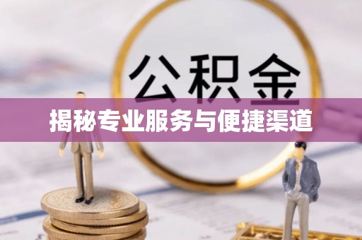 北林揭秘专业服务与便捷渠道