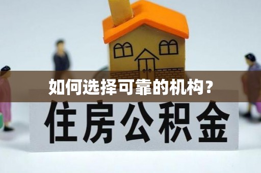 北林如何选择可靠的机构？