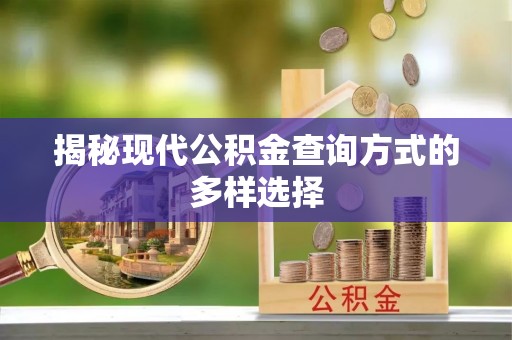北林揭秘现代公积金查询方式的多样选择