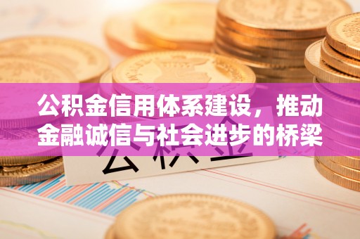 北林公积金信用体系建设，推动金融诚信与社会进步的桥梁