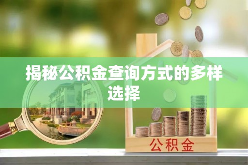 北林揭秘公积金查询方式的多样选择