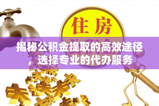 北林揭秘公积金提取的高效途径，选择专业的代办服务