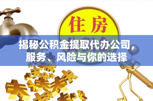 北林揭秘公积金提取代办公司，服务、风险与你的选择