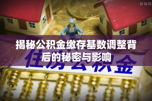 北林揭秘公积金缴存基数调整背后的秘密与影响