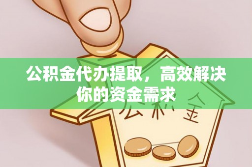 北林公积金代办提取，高效解决你的资金需求